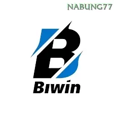 Biwin